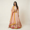 Blush Pink Designer Lehenga